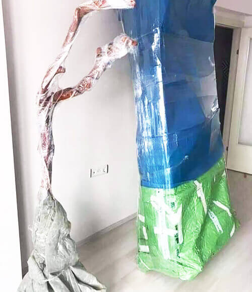 Nakliyat Resimleri